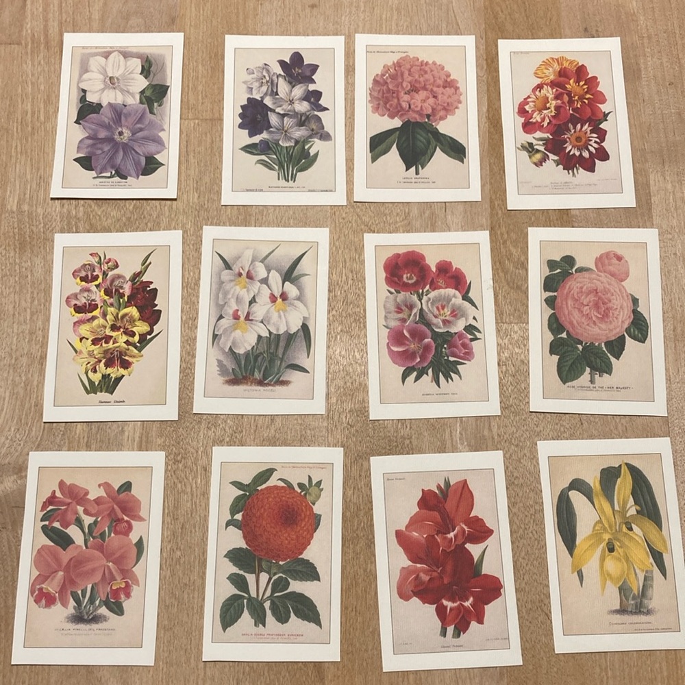 Cute Floral Cutouts (X 12)